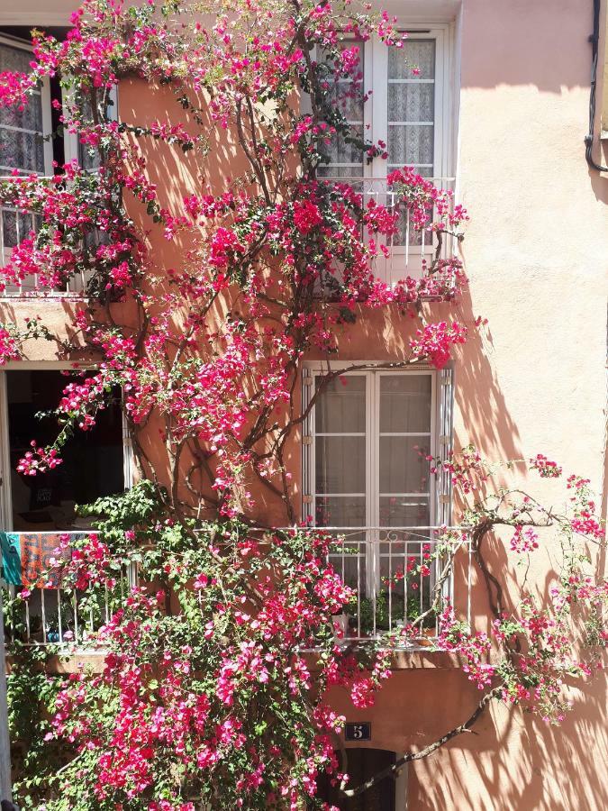 Blue Palm Apartment Hyères Exteriör bild